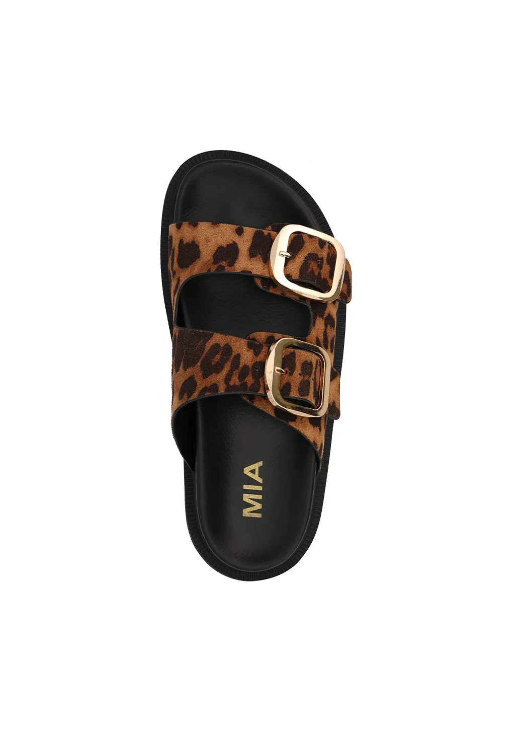 GEN - LEOPARD