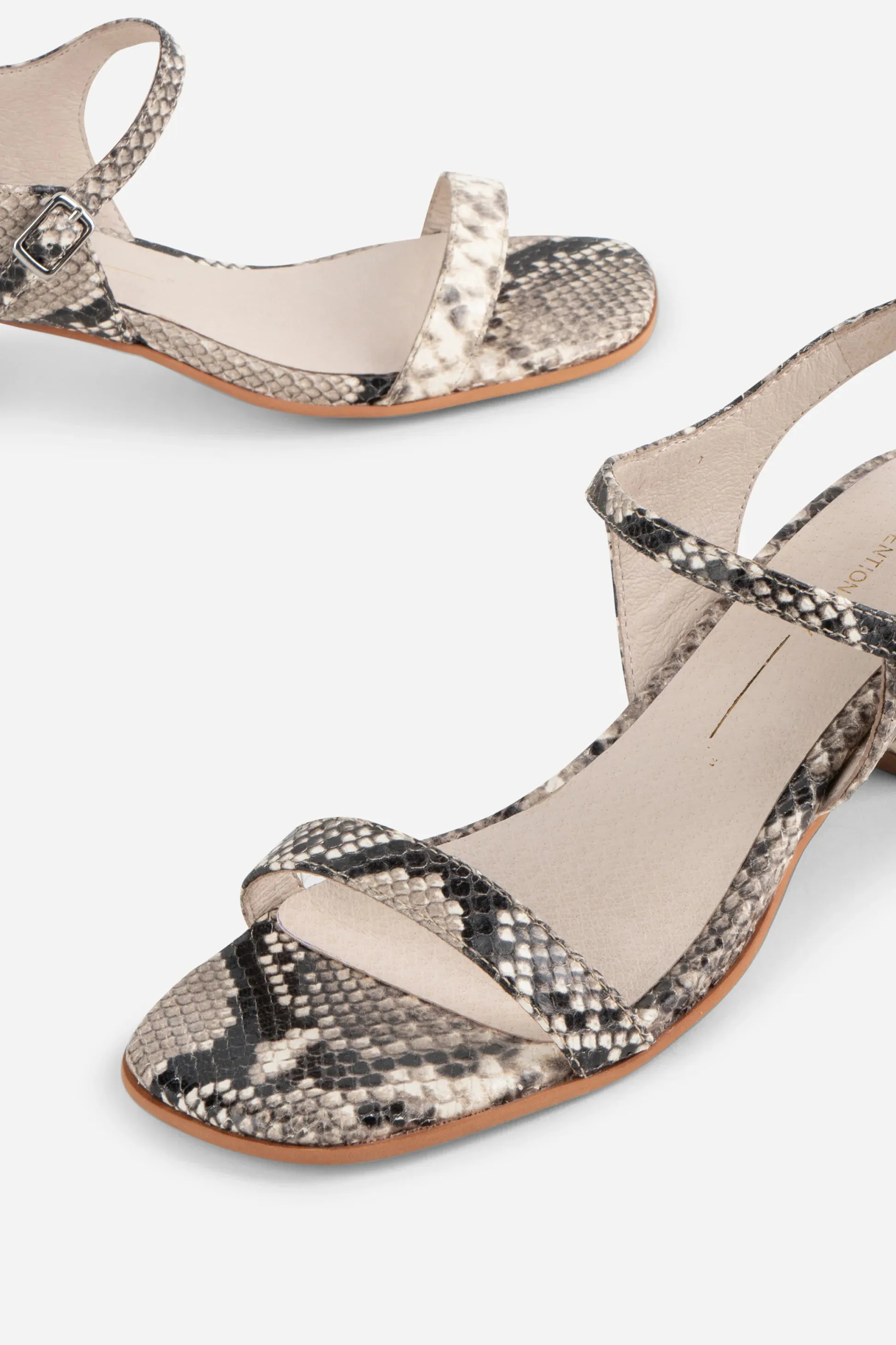 OPINION HEELS